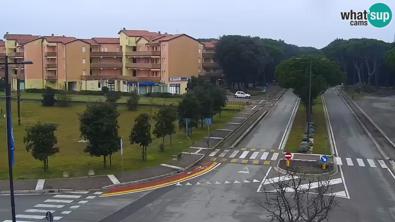 Livecam Rosolina mare