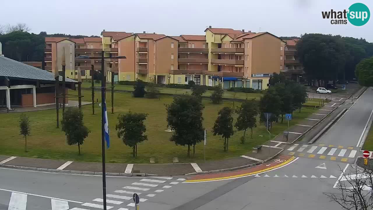 Web kamera Rosolina mare