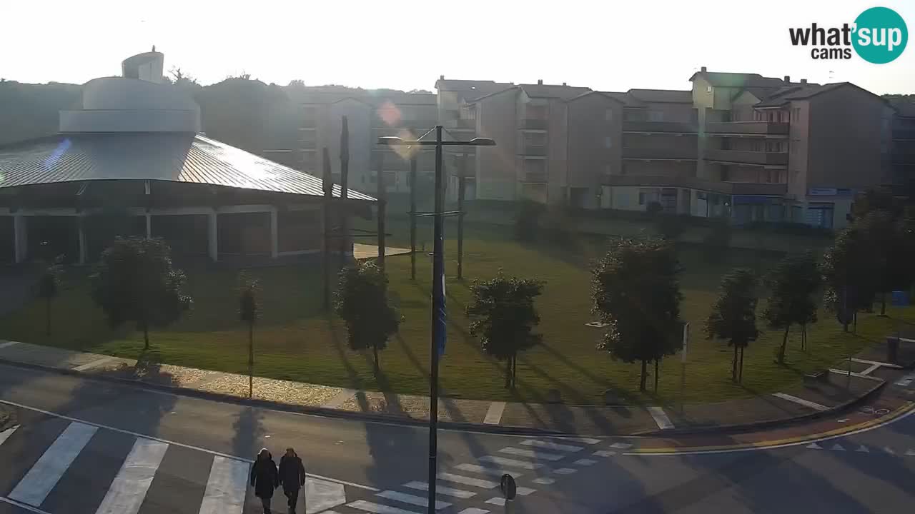 Camera en vivo Rosolina mare