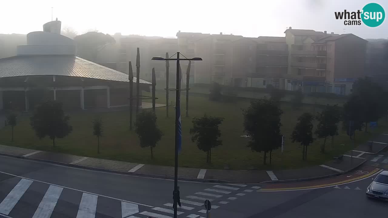 Livecam Rosolina mare