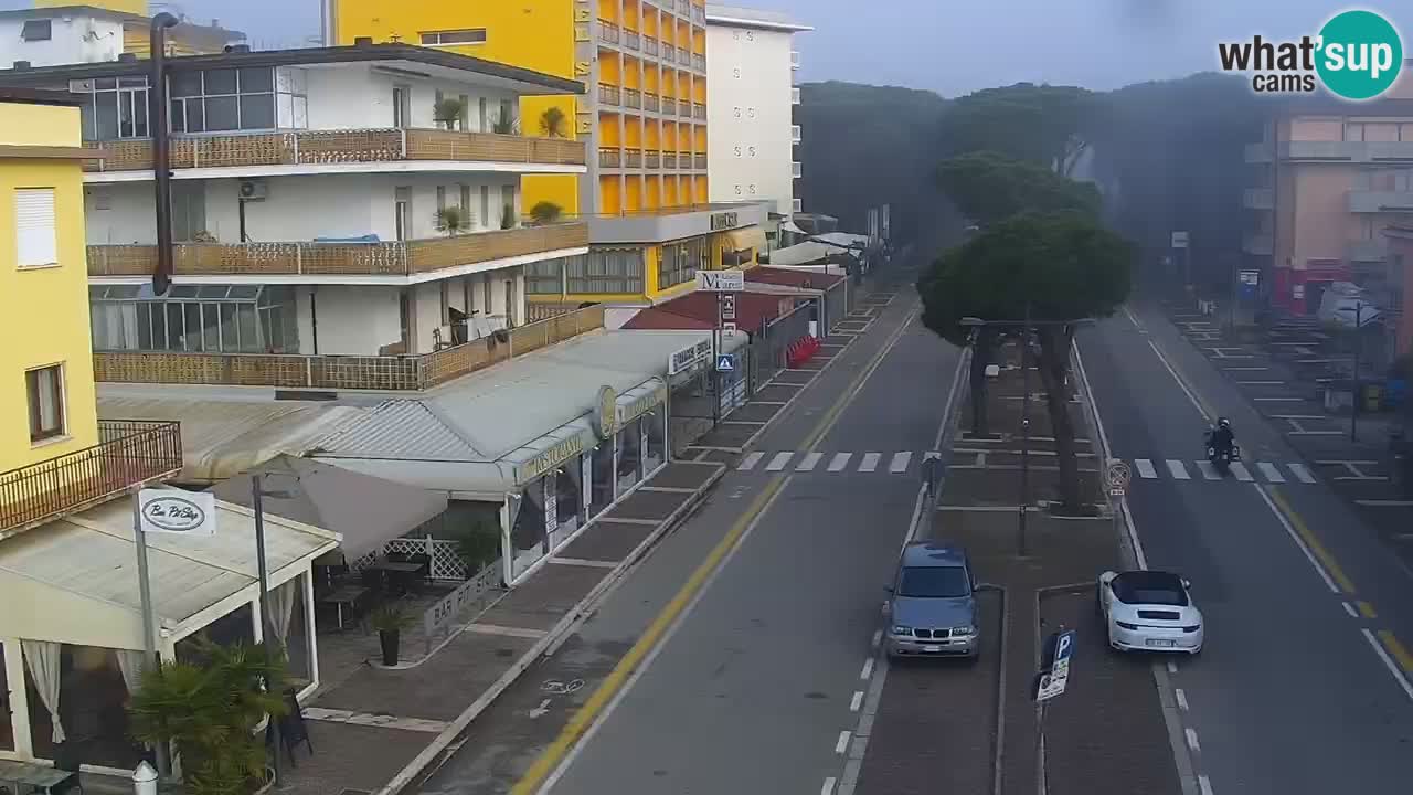 Web kamera Rosolina mare