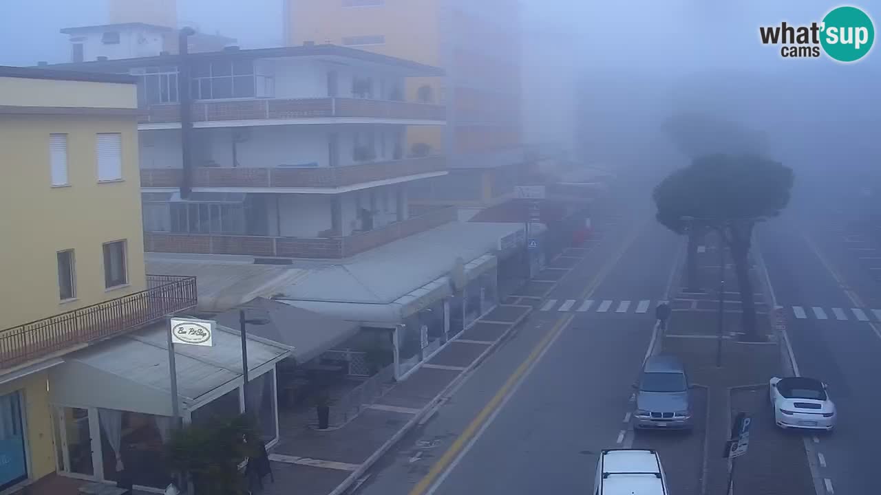 Camera en vivo Rosolina mare