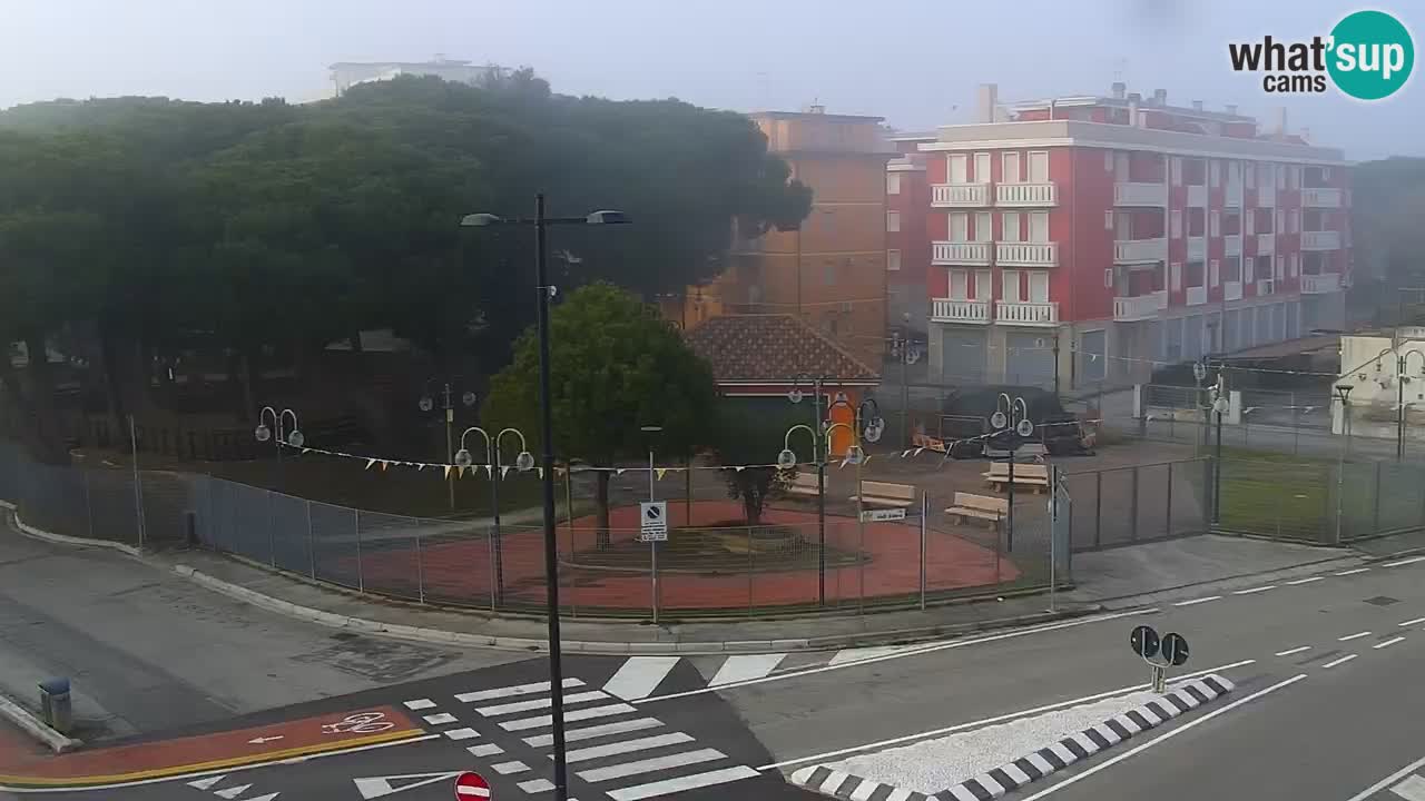 Livecam Rosolina mare