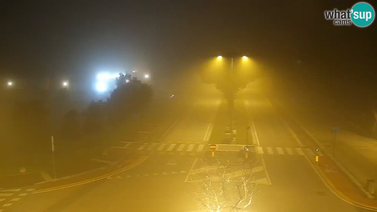 Camera en vivo Rosolina mare