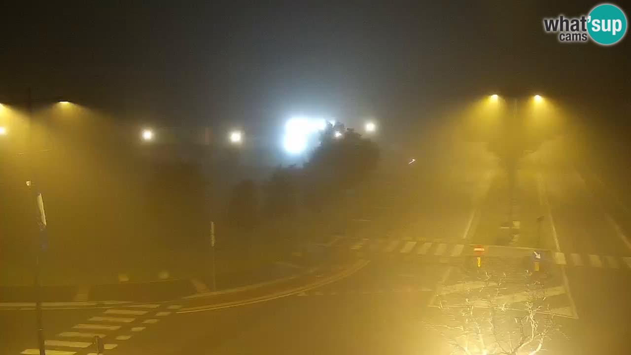 Camera en vivo Rosolina mare