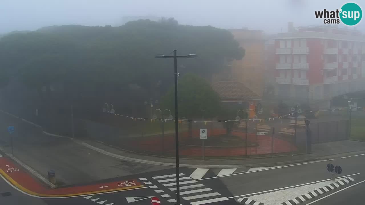 Livecam Rosolina mare