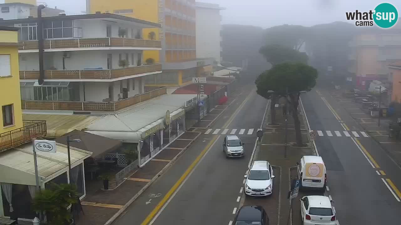 Livecam Rosolina mare