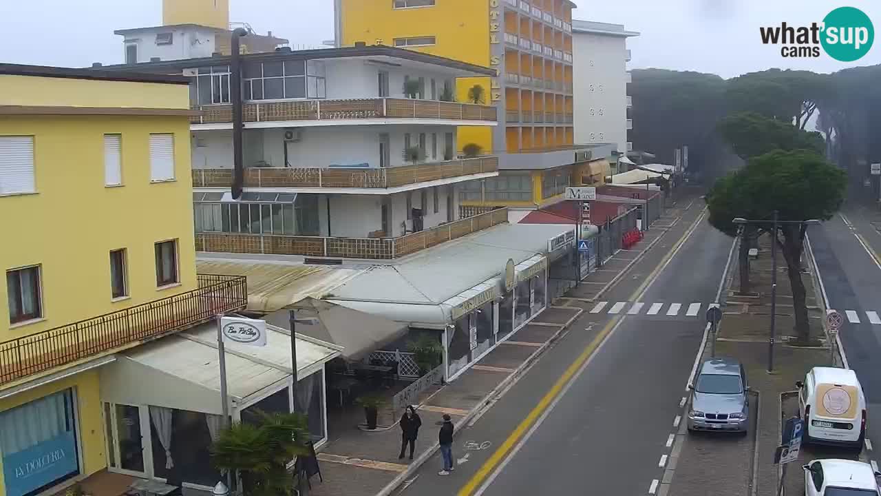 Livecam Rosolina mare