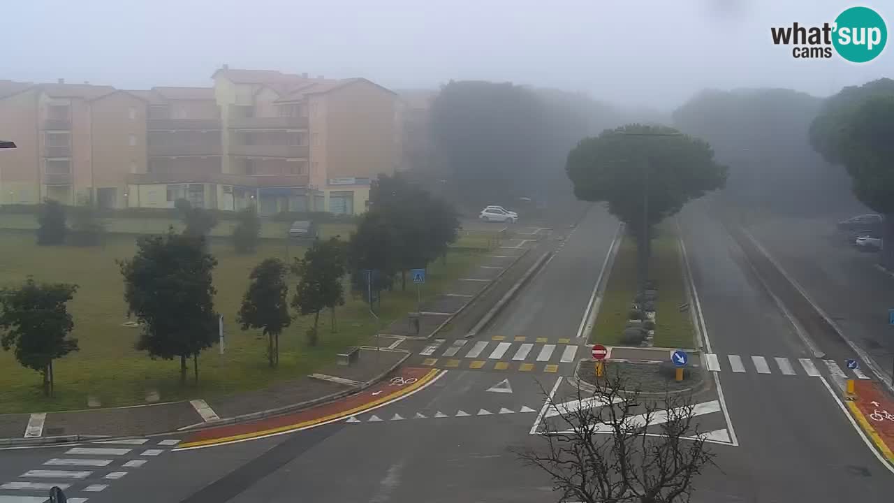 Camera en vivo Rosolina mare