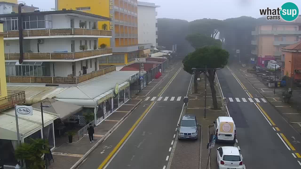 Livecam Rosolina mare