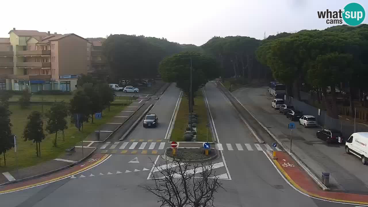 Web kamera Rosolina mare