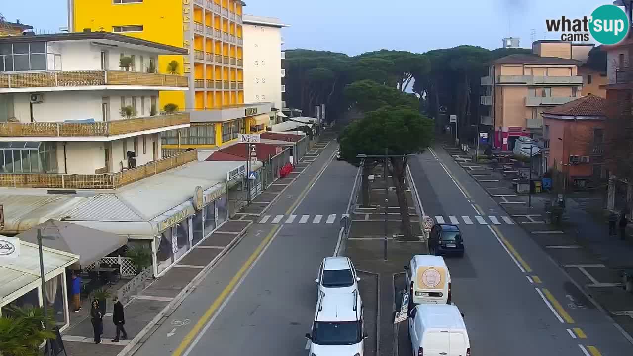 Web kamera Rosolina mare