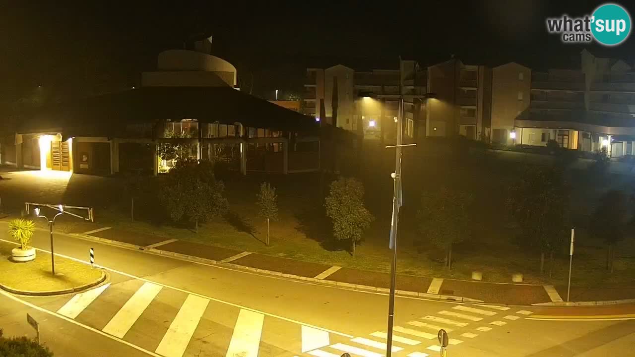 Camera en vivo Rosolina mare