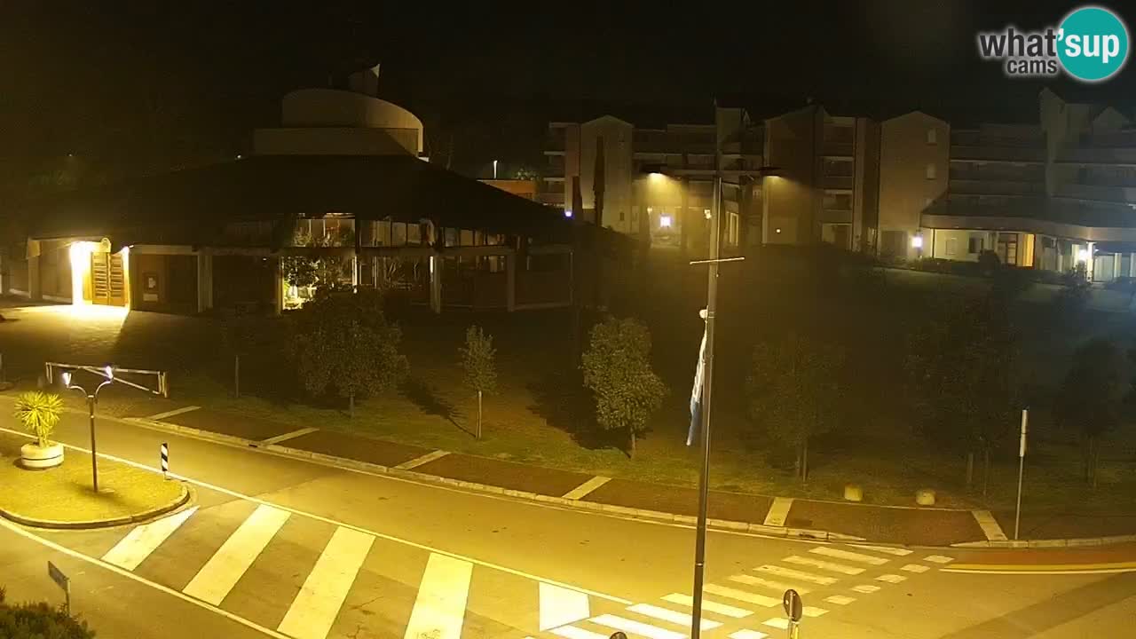 Livecam Rosolina mare