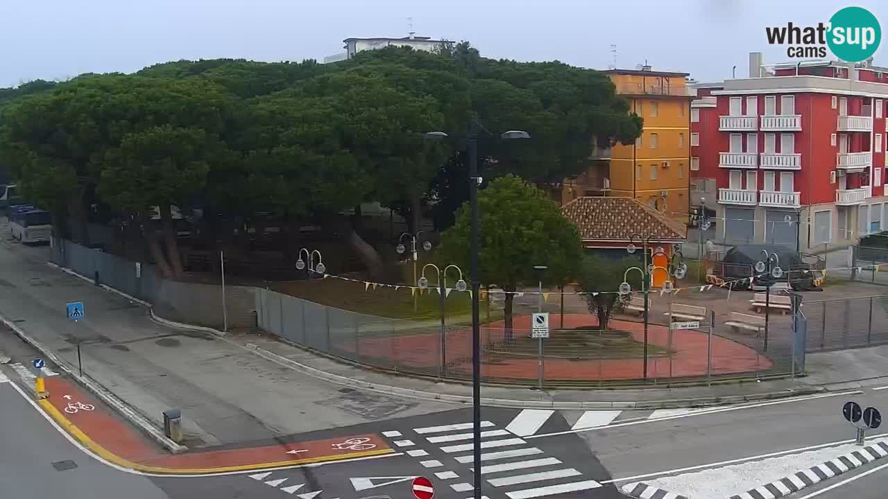 Livecam Rosolina mare