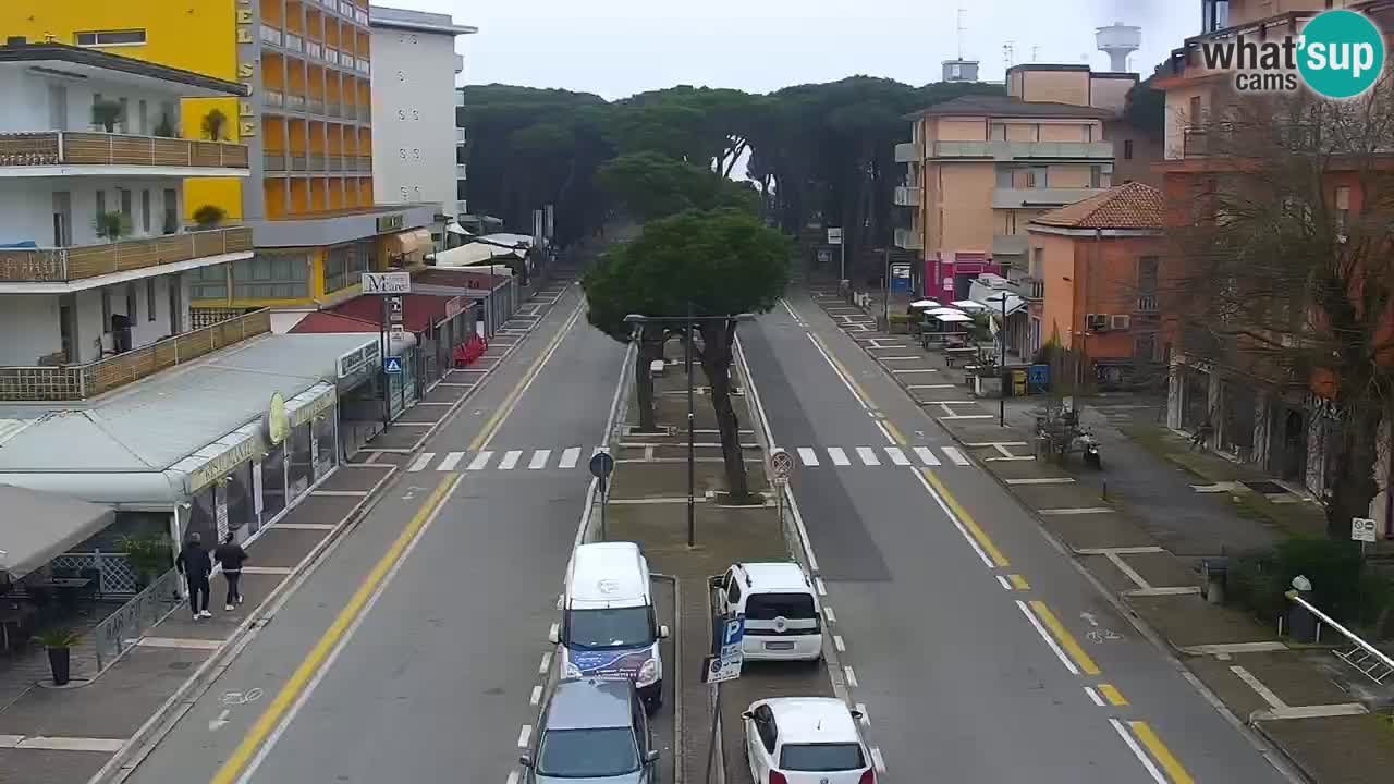 Livecam Rosolina mare