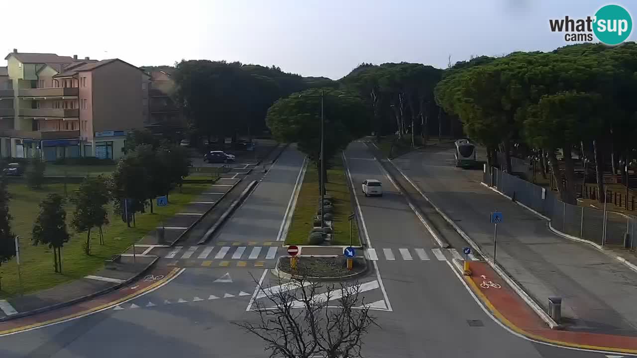 Web kamera Rosolina mare