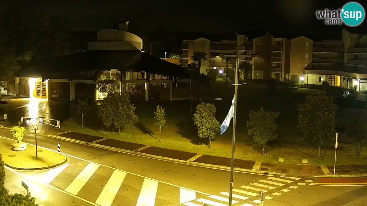 Livecam Rosolina mare