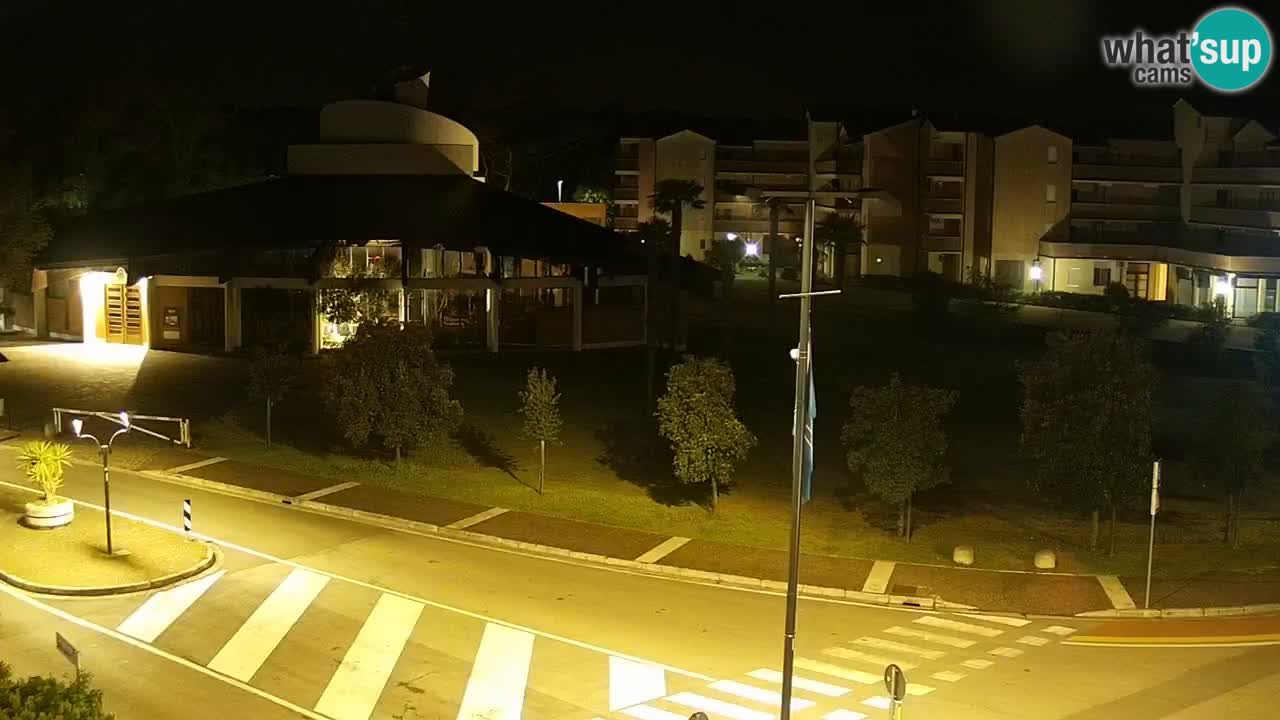 Livecam Rosolina mare