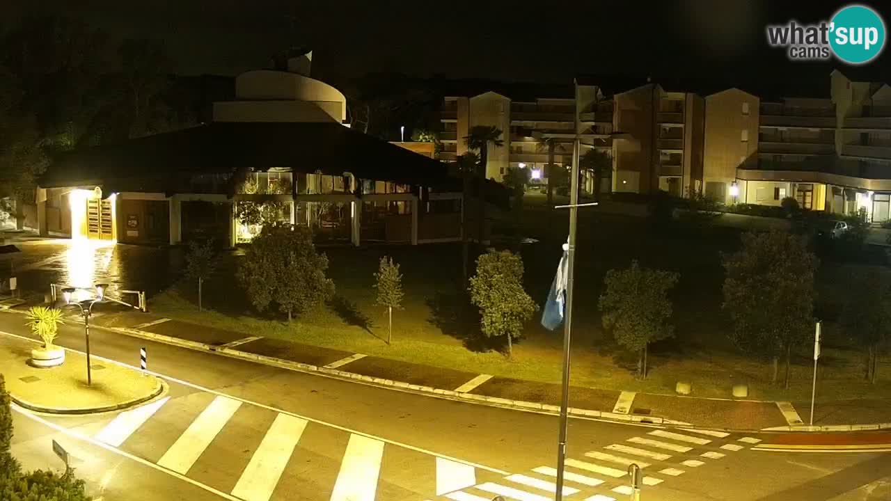 Livecam Rosolina mare