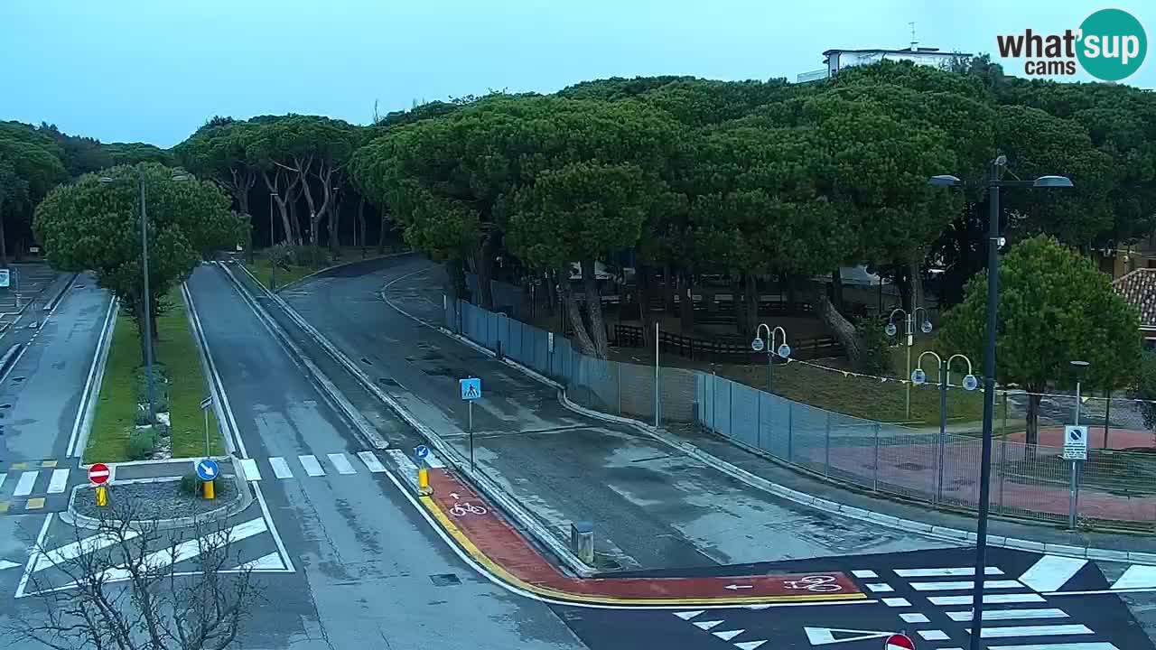 Camera en vivo Rosolina mare