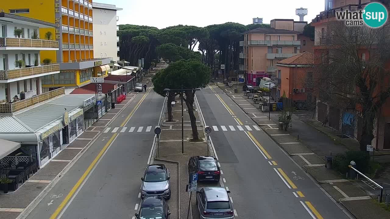 Web kamera Rosolina mare