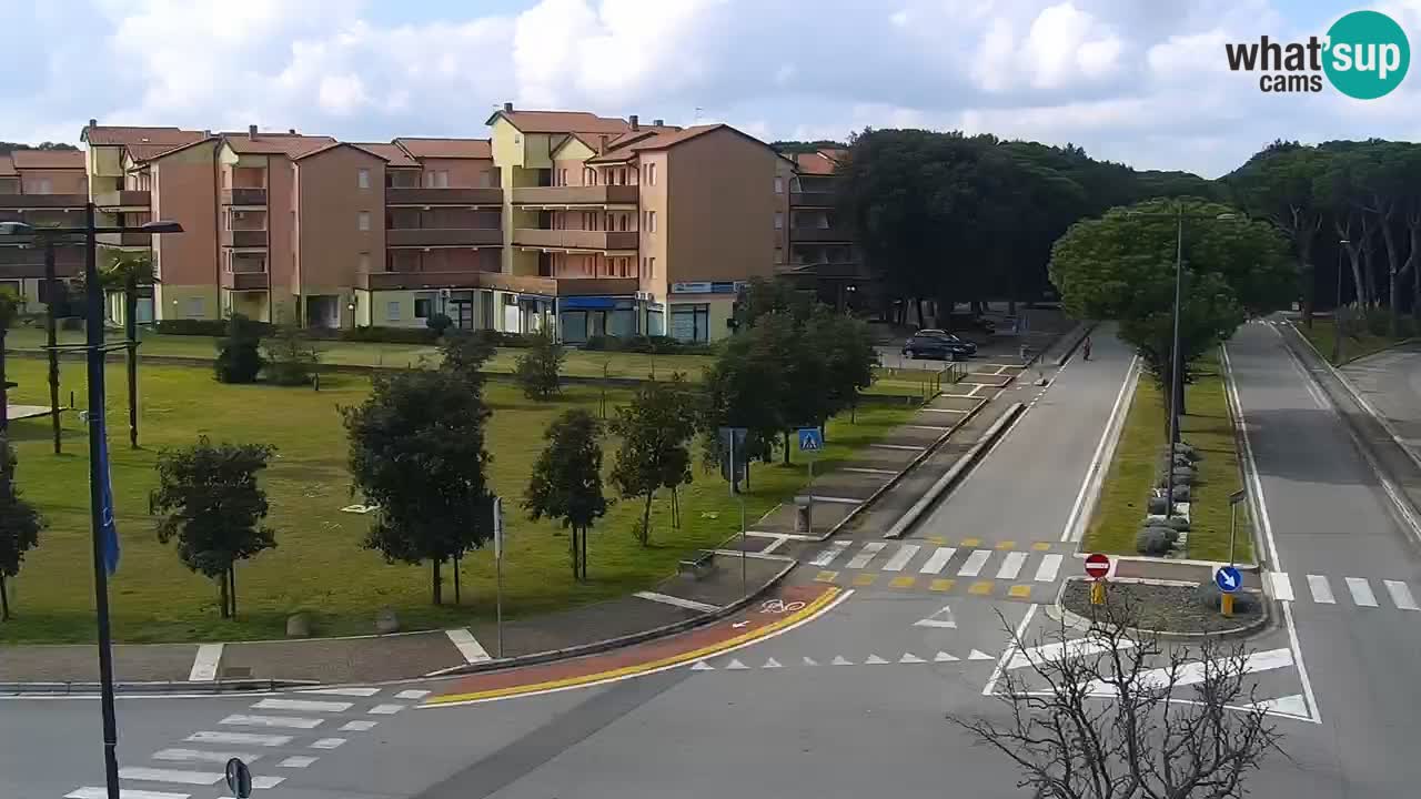 Livecam Rosolina mare