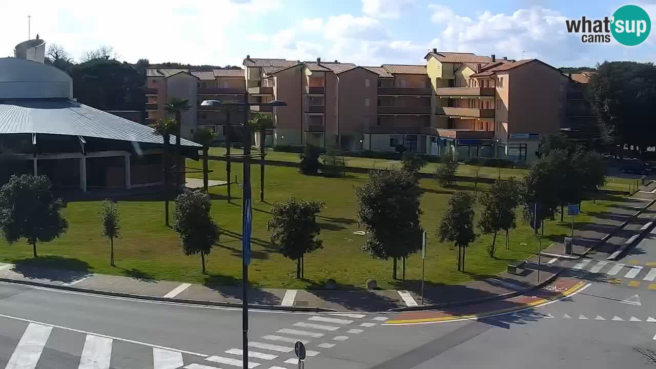 Livecam Rosolina mare