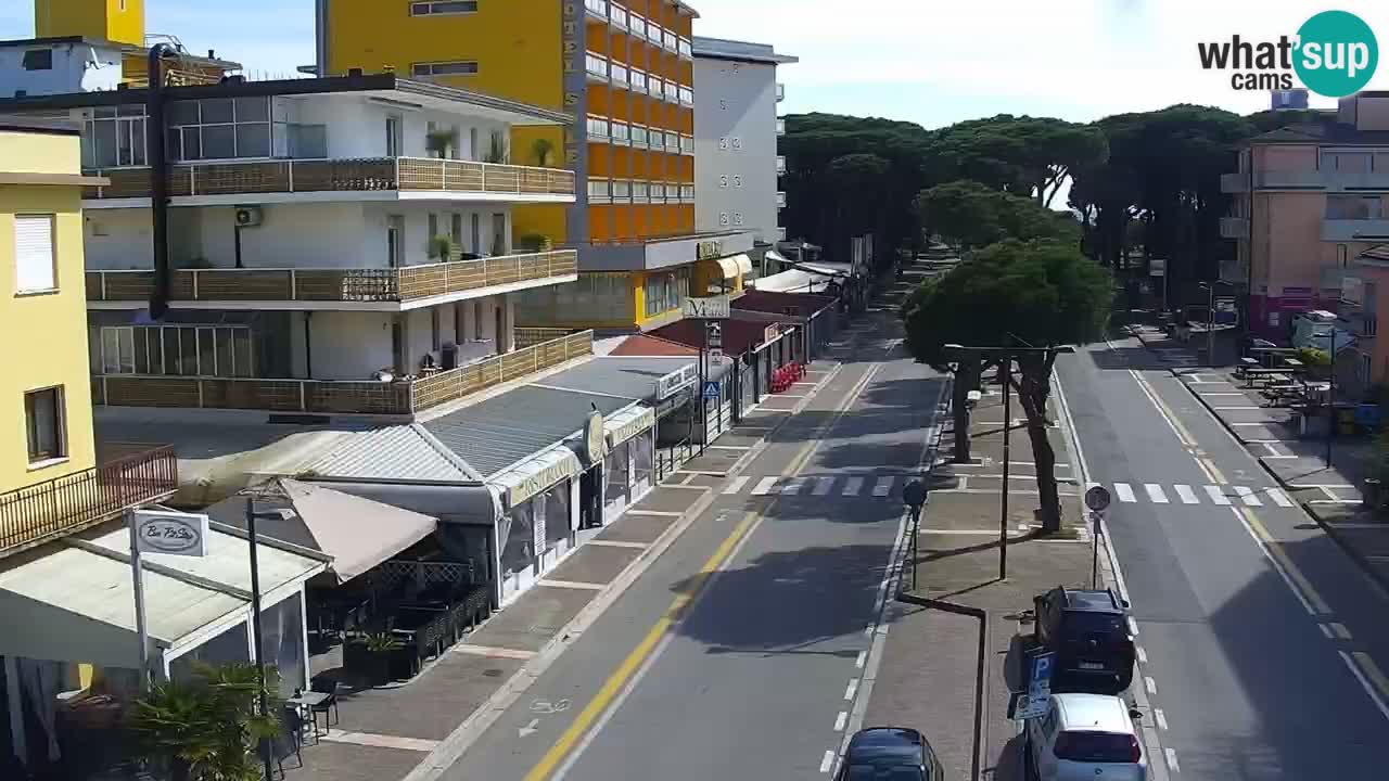 Camera en vivo Rosolina mare