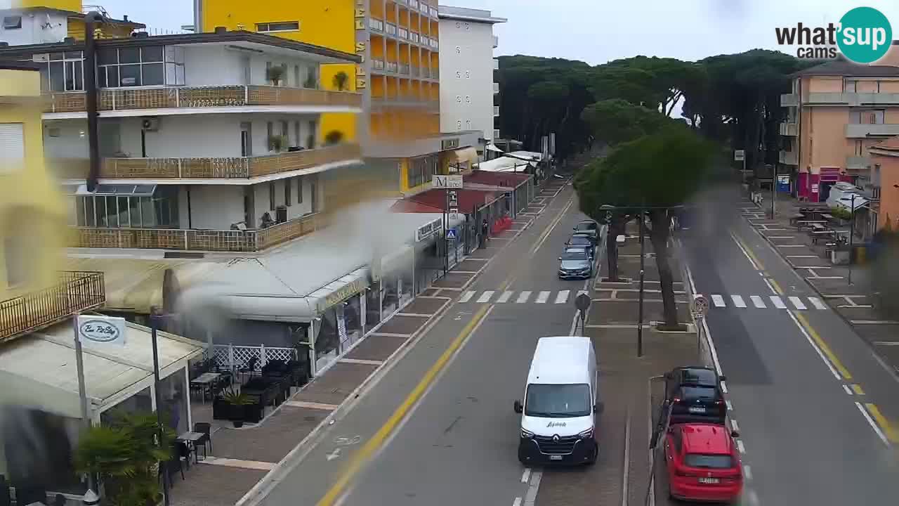 Camera en vivo Rosolina mare