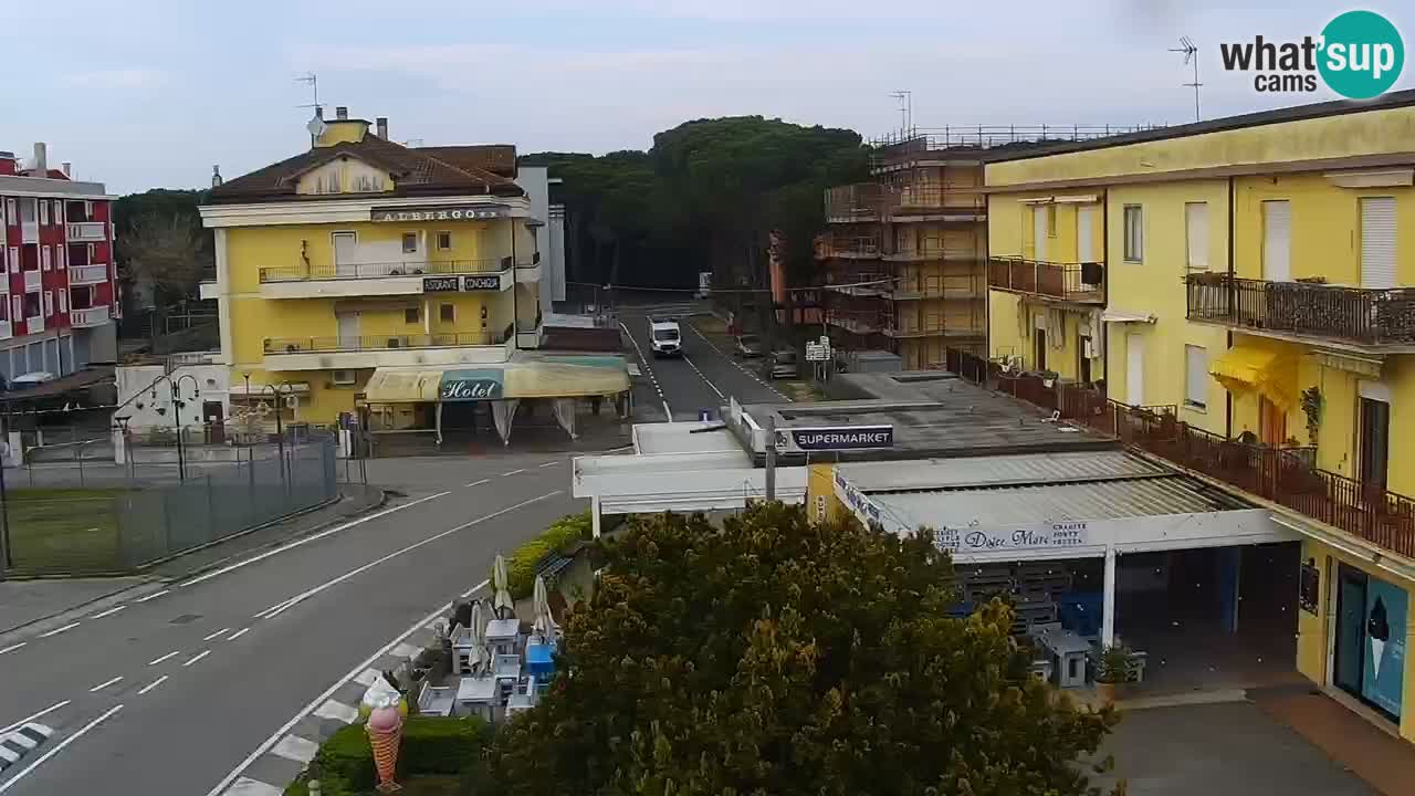 Camera en vivo Rosolina mare