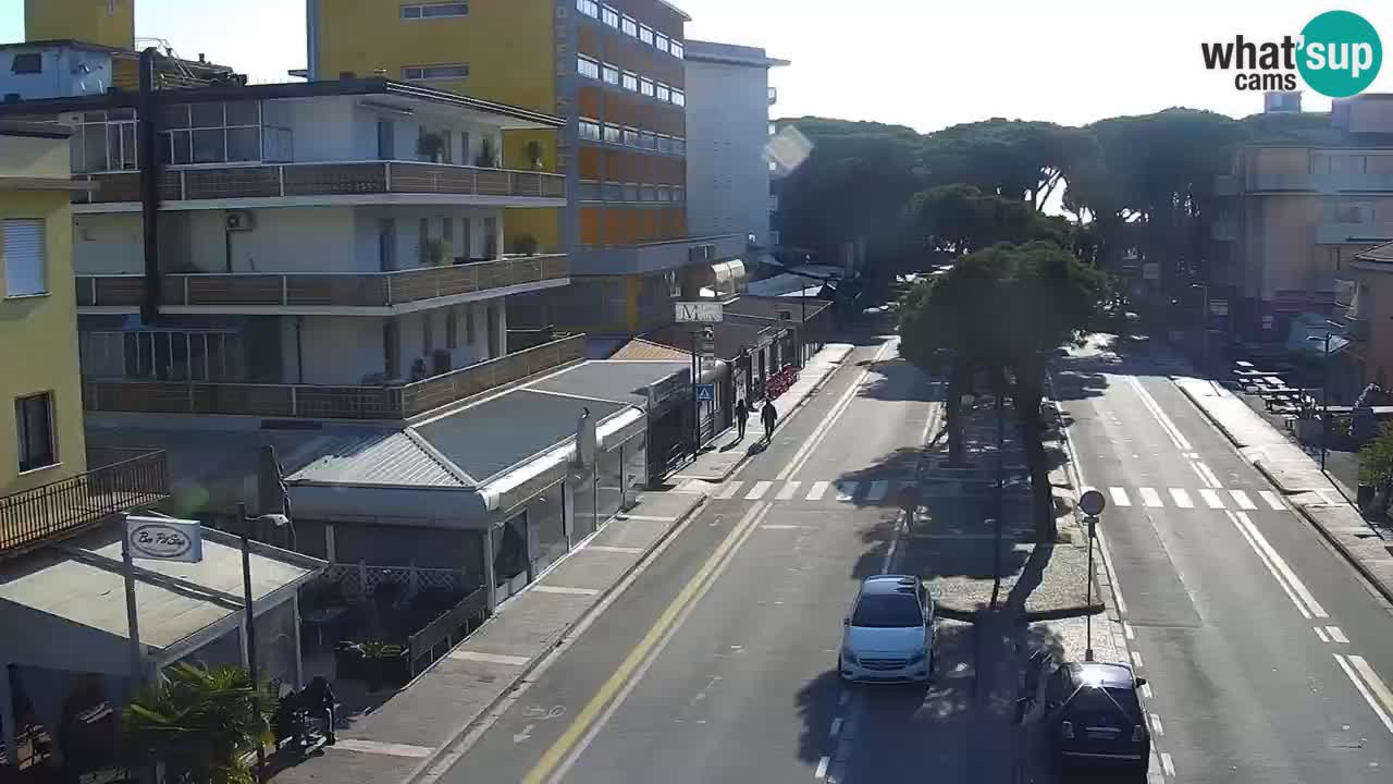 Camera en vivo Rosolina mare