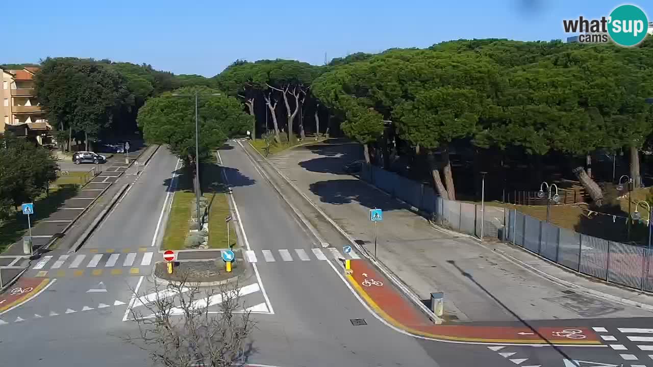 Camera en vivo Rosolina mare