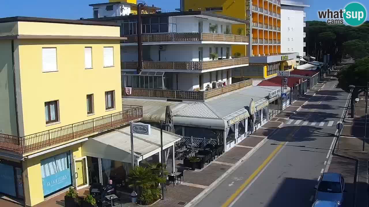 Livecam Rosolina mare