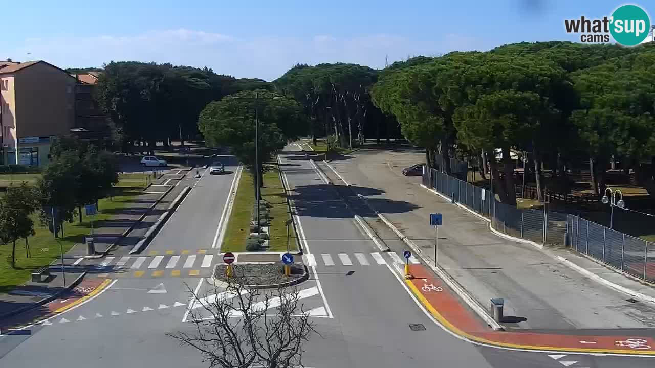 Camera en vivo Rosolina mare