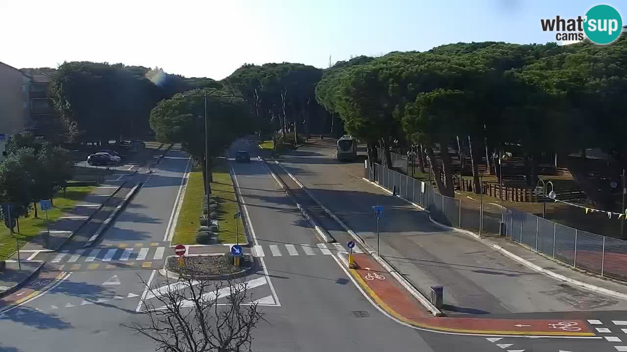 Spletna kamera Rosolina mare