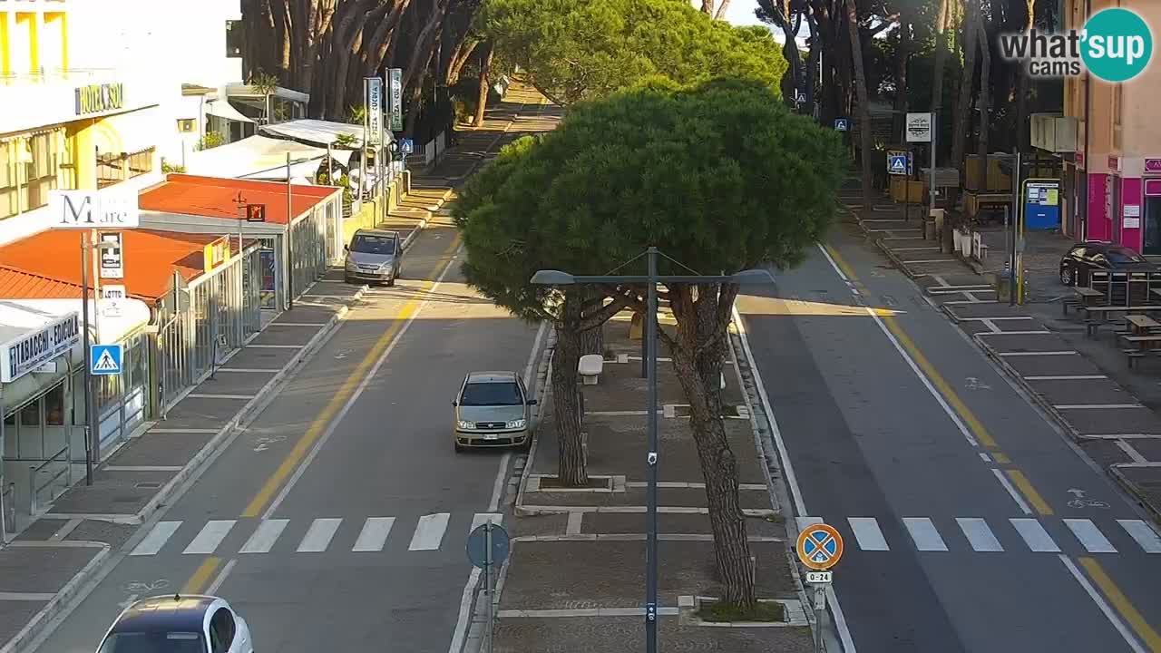 Camera en vivo Rosolina mare