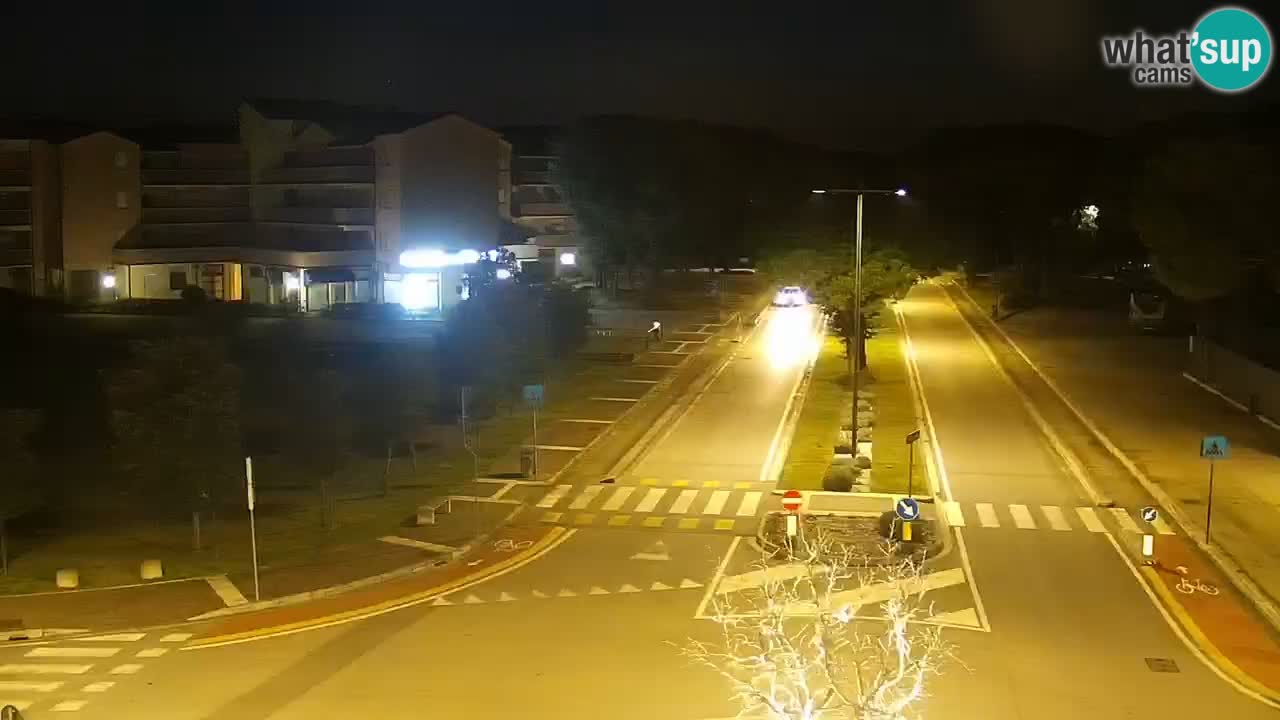 Livecam Rosolina mare