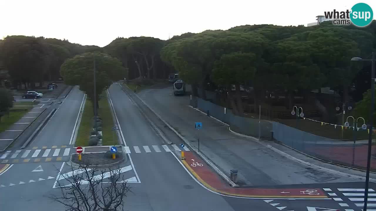 Livecam Rosolina mare