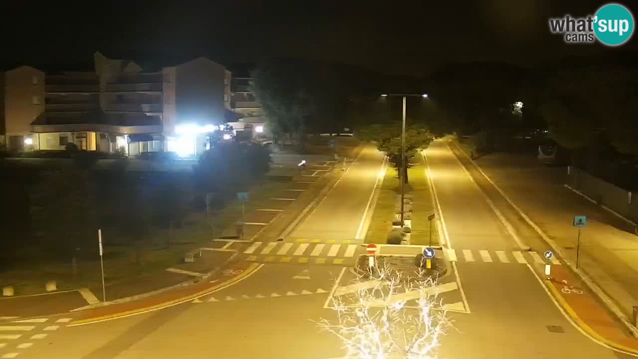 Camera en vivo Rosolina mare