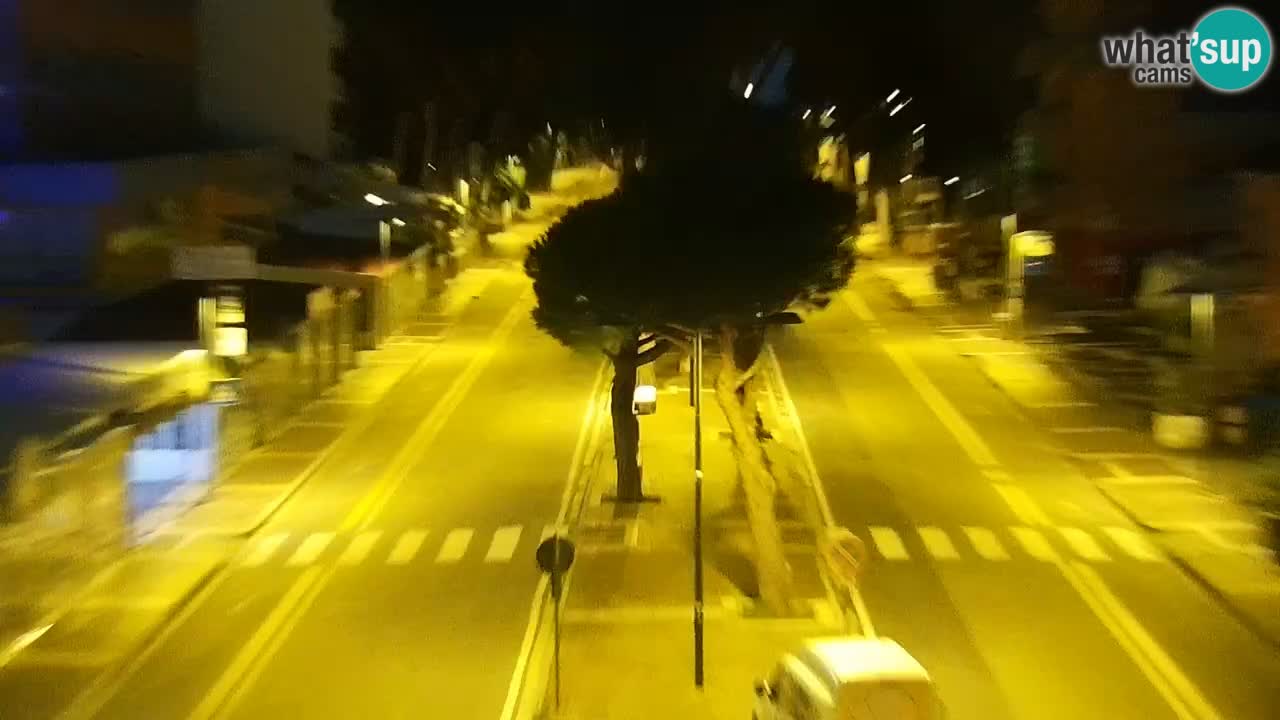 Camera en vivo Rosolina mare