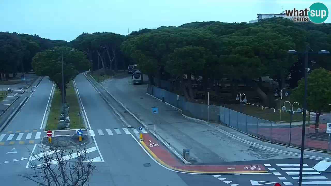 Livecam Rosolina mare