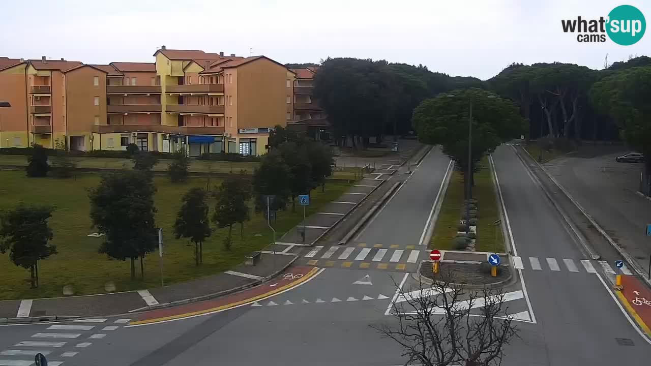 Livecam Rosolina mare