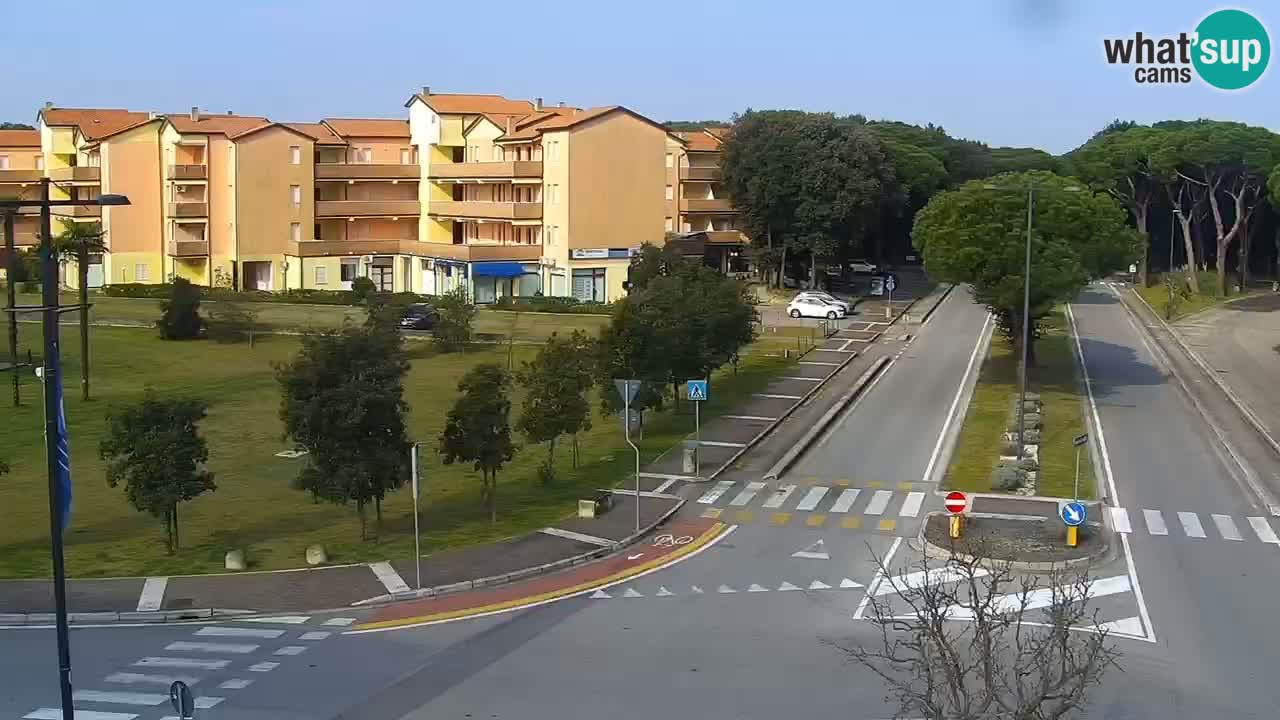 Livecam Rosolina mare