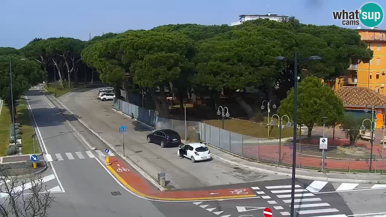 Livecam Rosolina mare