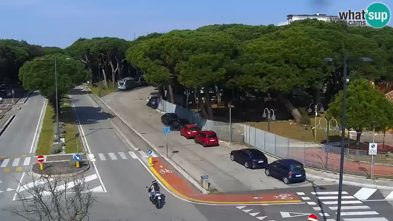 Livecam Rosolina mare