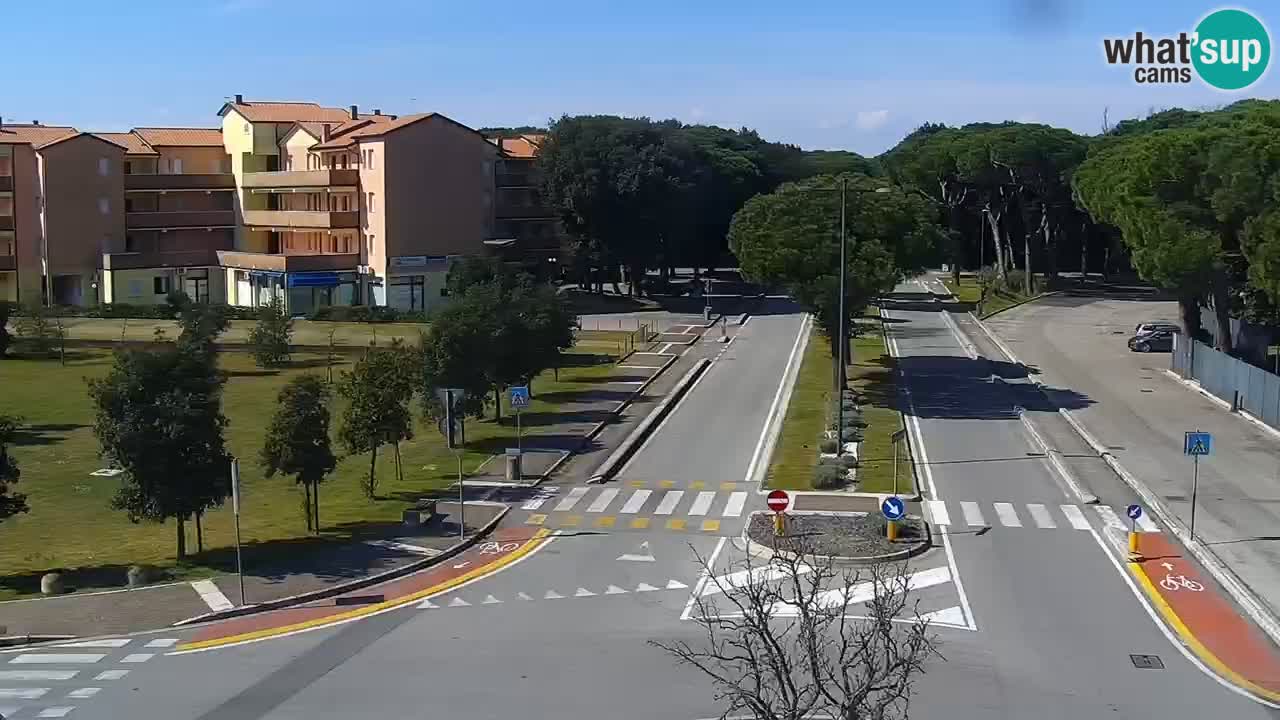 Livecam Rosolina mare