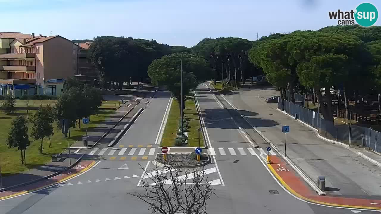 Livecam Rosolina mare