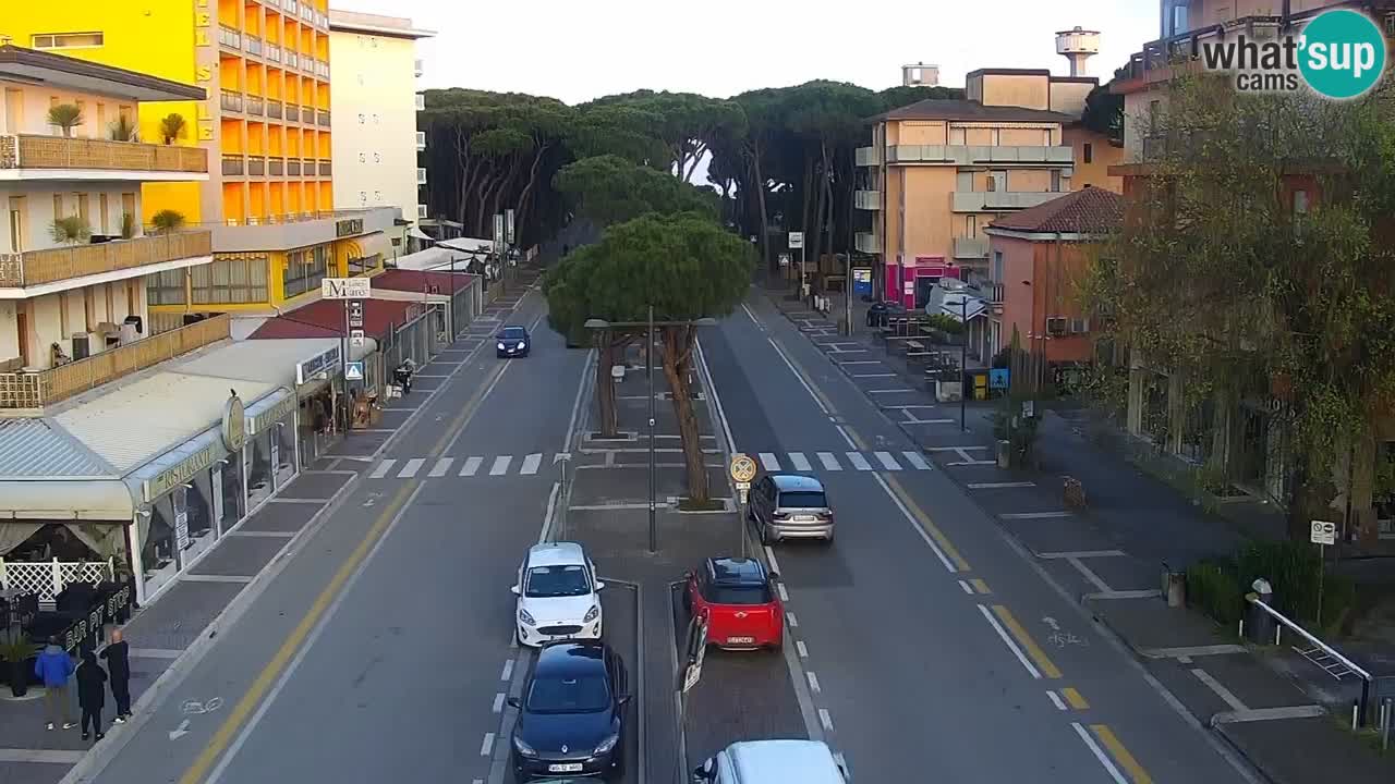 Camera en vivo Rosolina mare