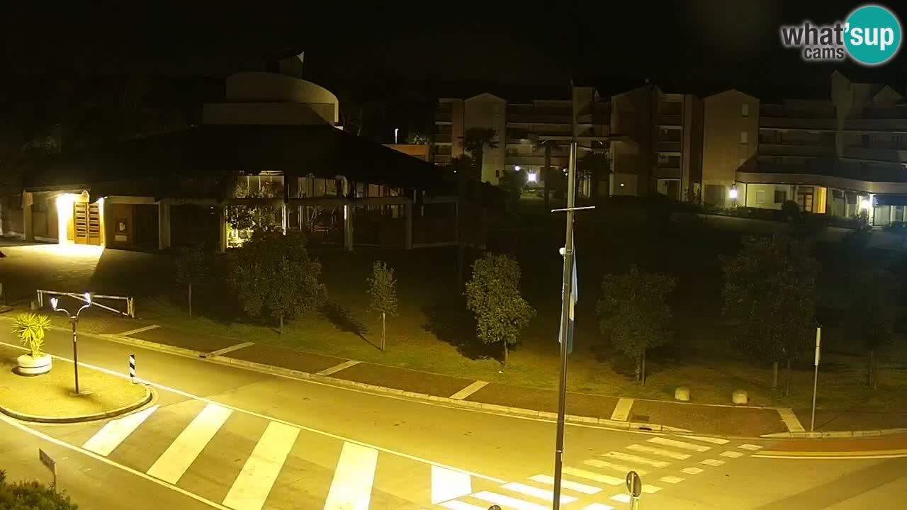 Livecam Rosolina mare